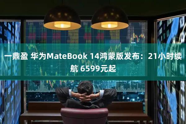一鼎盈 华为MateBook 14鸿蒙版发布：21小时续航 6599元起