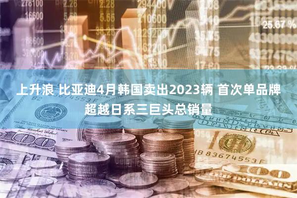 上升浪 比亚迪4月韩国卖出2023辆 首次单品牌超越日系三巨头总销量
