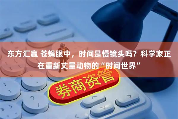 东方汇赢 苍蝇眼中，时间是慢镜头吗？科学家正在重新丈量动物的“时间世界”