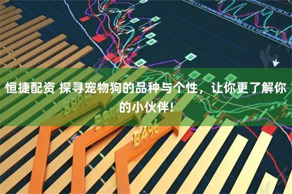 恒捷配资 探寻宠物狗的品种与个性，让你更了解你的小伙伴!