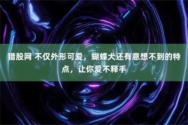 猎股网 不仅外形可爱，蝴蝶犬还有意想不到的特点，让你爱不释手